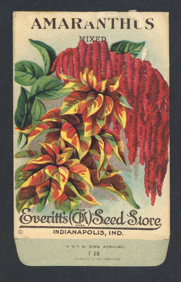 Vintage Seed Packets 1900-1940 – thelabelman