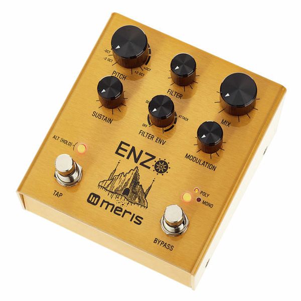 Meris Enzo Multi-Voice Synthesizer – United States
