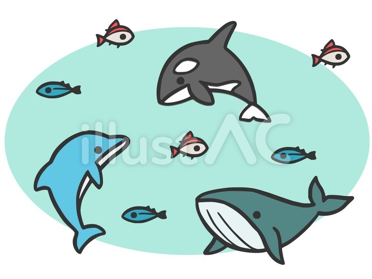 クジラとイルカとシャチイラスト - No: 2655507｜無料イラスト・フリー