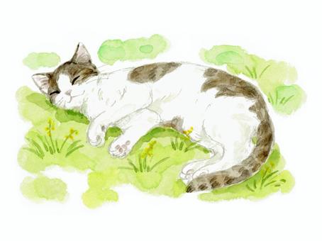水彩_手描き_草むらで寝る猫ちゃんイラスト - No: 22394950｜無料