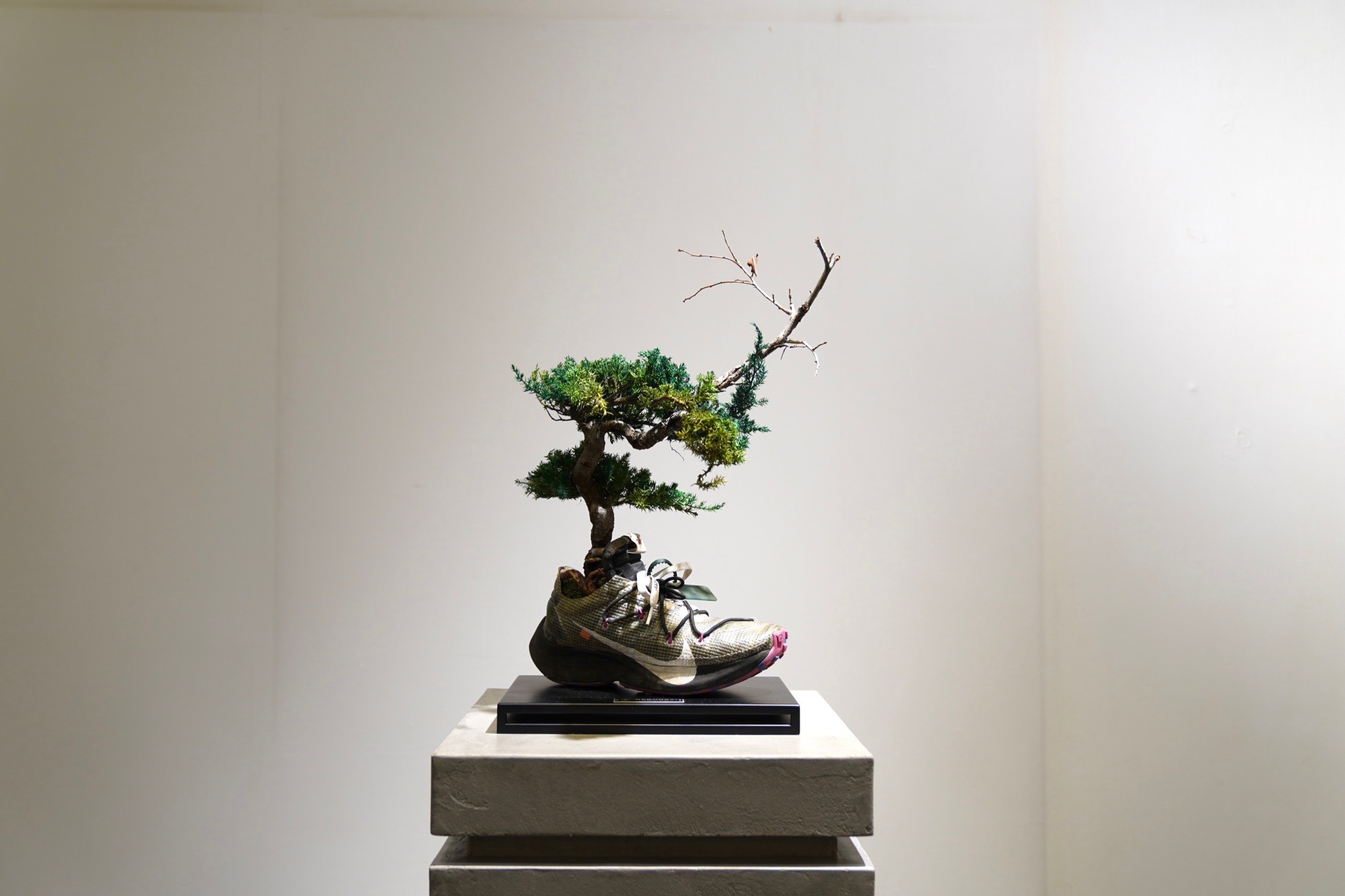 RE 盆栽™ のTOUFU株式会社