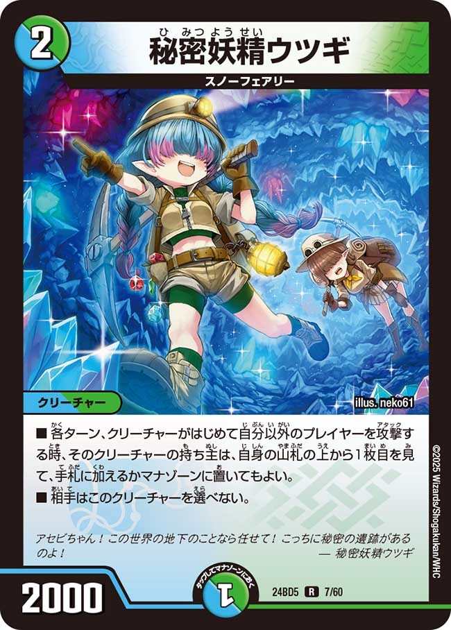 エキサイティング・デュエパ・デッキ アセビと異世界フェアリーたち