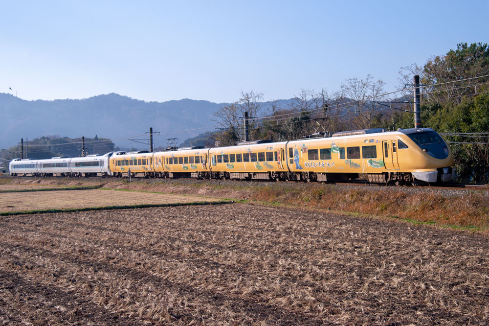 289系 | 鉄道写真 四季の中を走る鉄道車両