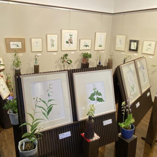 外山康雄 野の花館 公式サイト｜南魚沼市