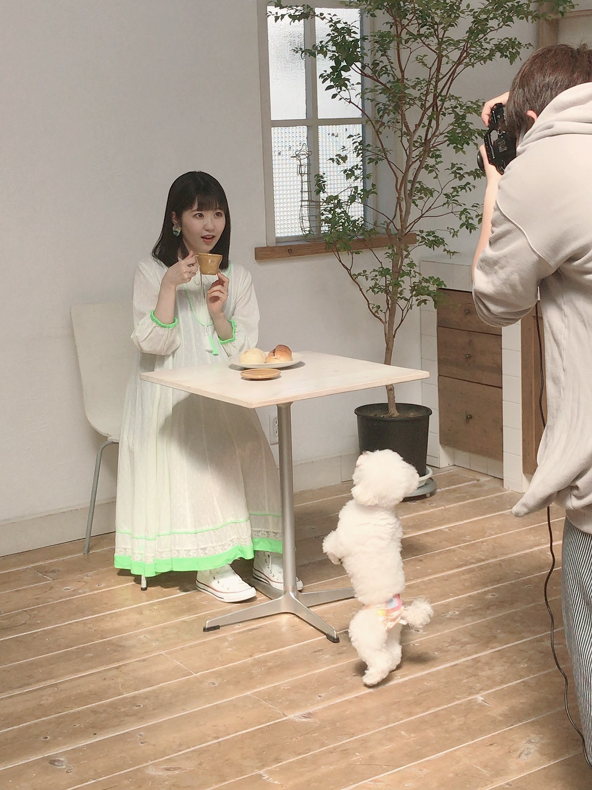 東山奈央 コンセプトミニアルバム「off」icial site