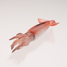 イカコレ！ イカストラップコレクション 海洋堂カプセルQミュージアム