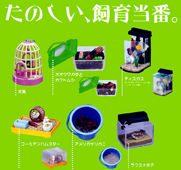 たのしい、飼育当番。