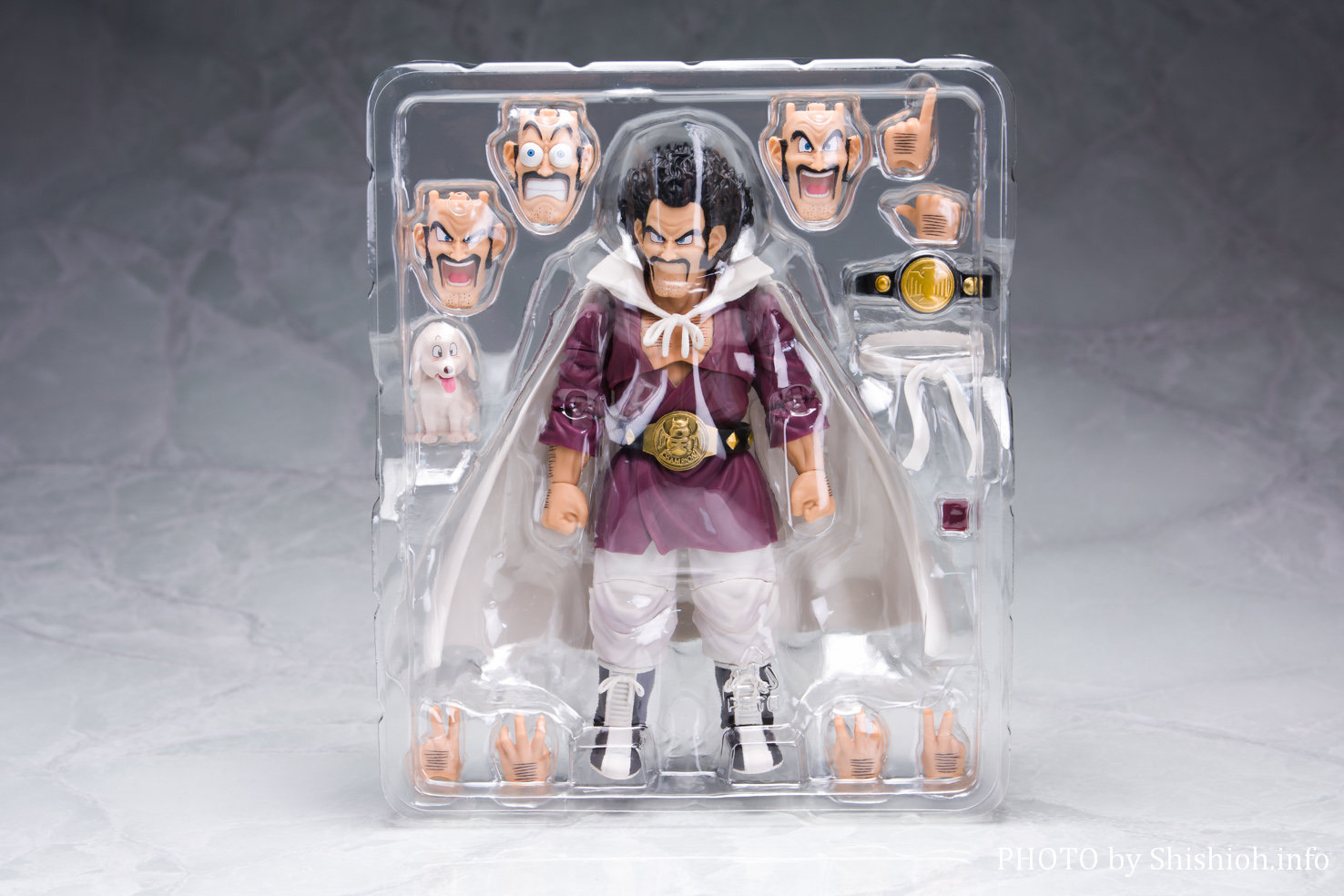 レビュー】 S.H.Figuarts ミスターサタン