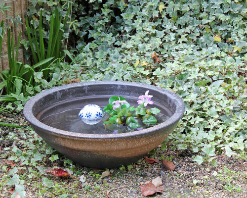 楽天市場】【ポイント5倍】信楽焼 睡蓮鉢 窯肌ソリ 16号 大型 睡蓮鉢