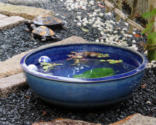 楽天市場】【ポイント8倍】信楽焼 睡蓮鉢 ブルーガラス 19号 大型 60cm