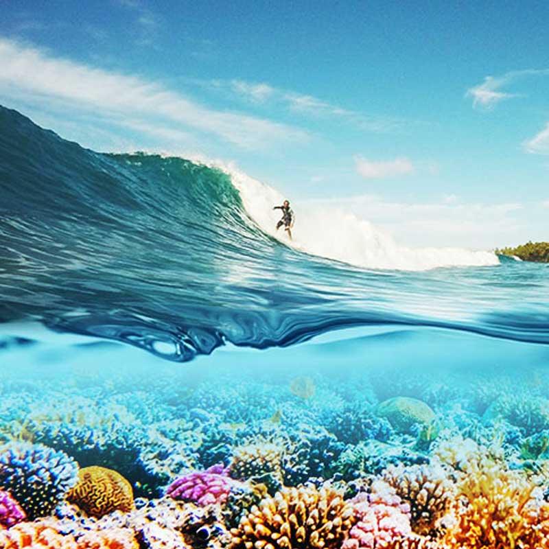 楽天市場】【25日 全商品 ポイント 2倍】 日焼け止めスティック ココ