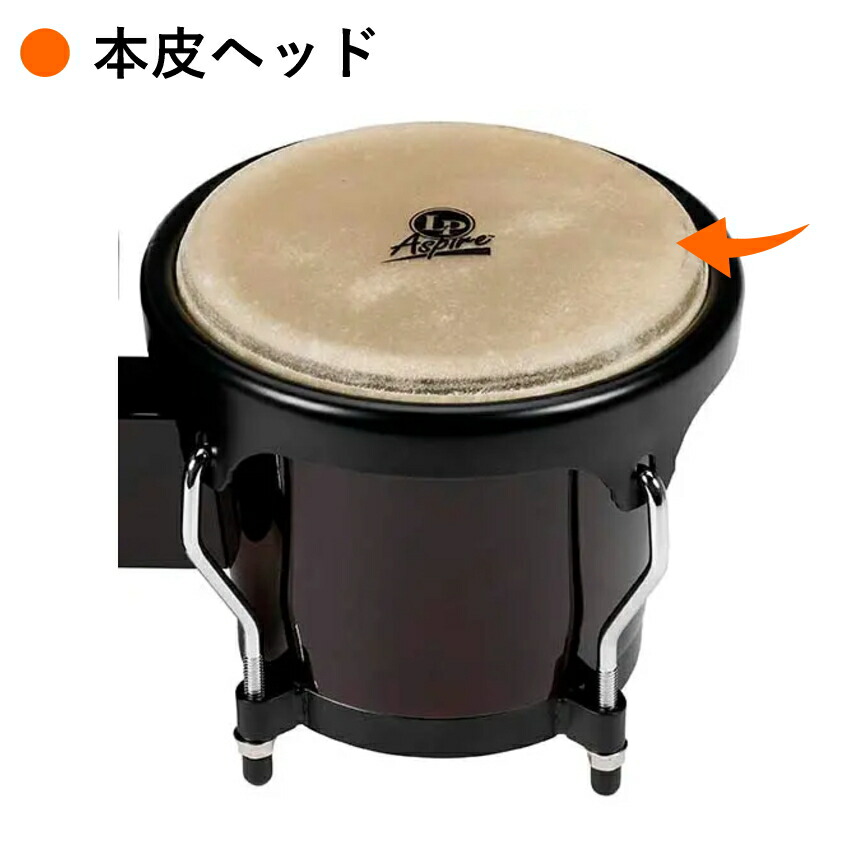 楽天市場】LP LPA601-DW ダークウッド Aspire ウッドボンゴ : 楽器の