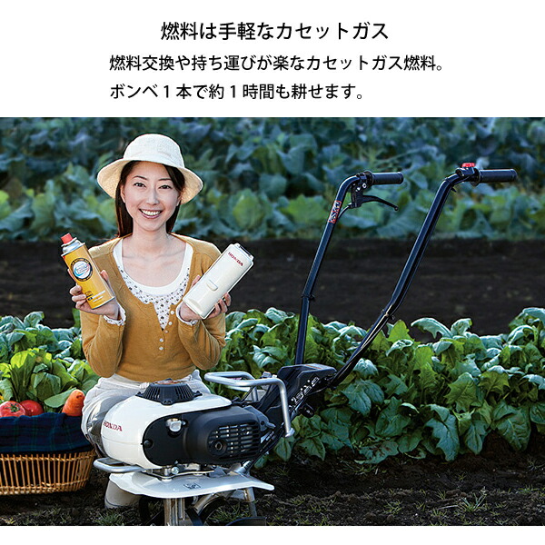 楽天市場】【25日は！枚数限定 最大1,000円OFFクーポン】【純正オイル