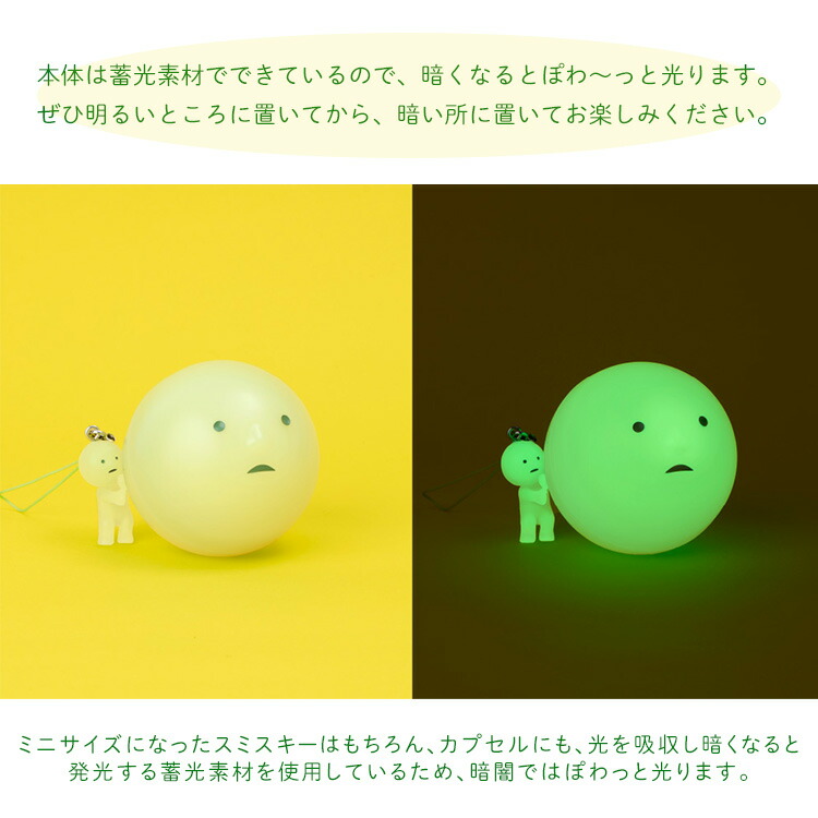 楽天市場】【正規販売店】SMISKI Strap Accessories Series1 アソート