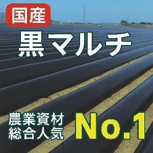 楽天市場】黒マルチ 厚さ0.02mm×幅75cm×長さ200m(マルチシート 農業用