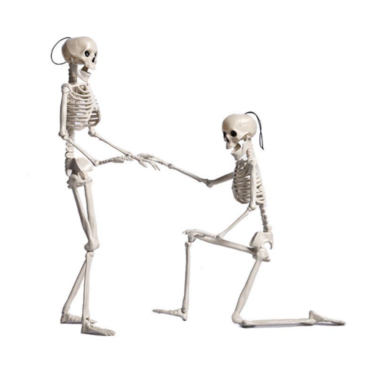 楽天市場】ガイコツ ハロウィン 飾り がいこつ スカル どくろ ドクロ