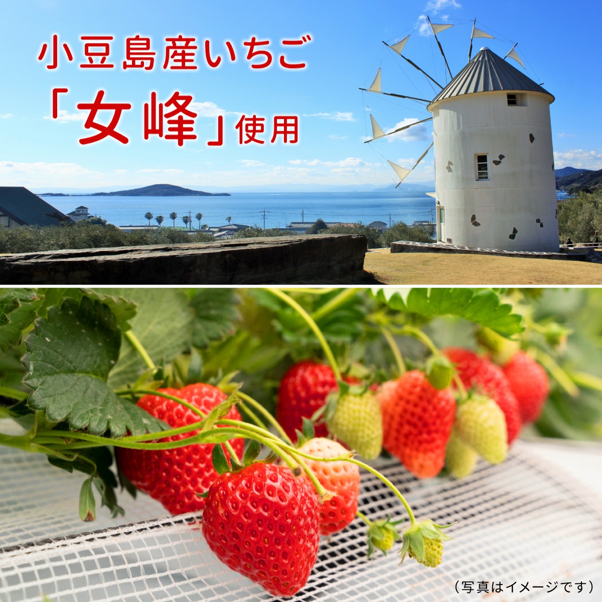 楽天市場】島いちご わらび餅 小豆島産苺 本わらび粉使用 225g×10袋