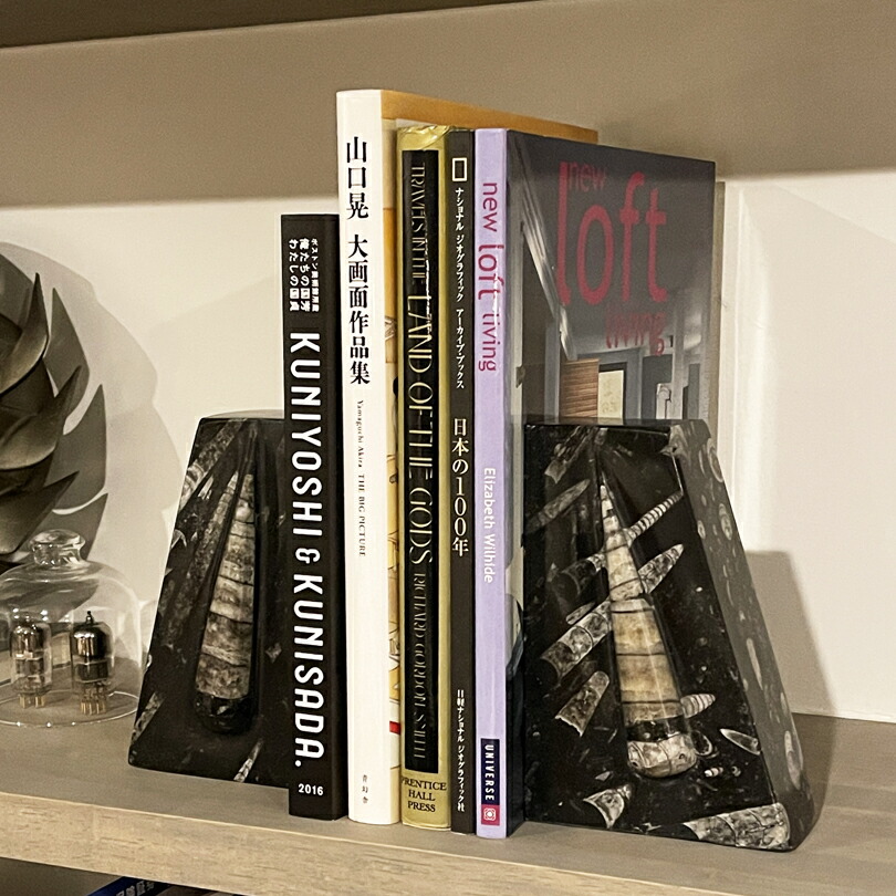 楽天市場】Lサイズ オルソセラス【化石ブックエンド】大理石 ブック