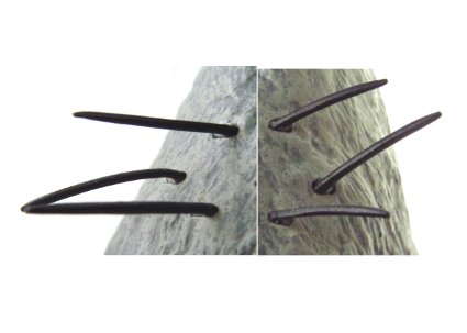 楽天市場】コミニカ 「となりのトトロ」バス亭トトロ(サツキ&めい