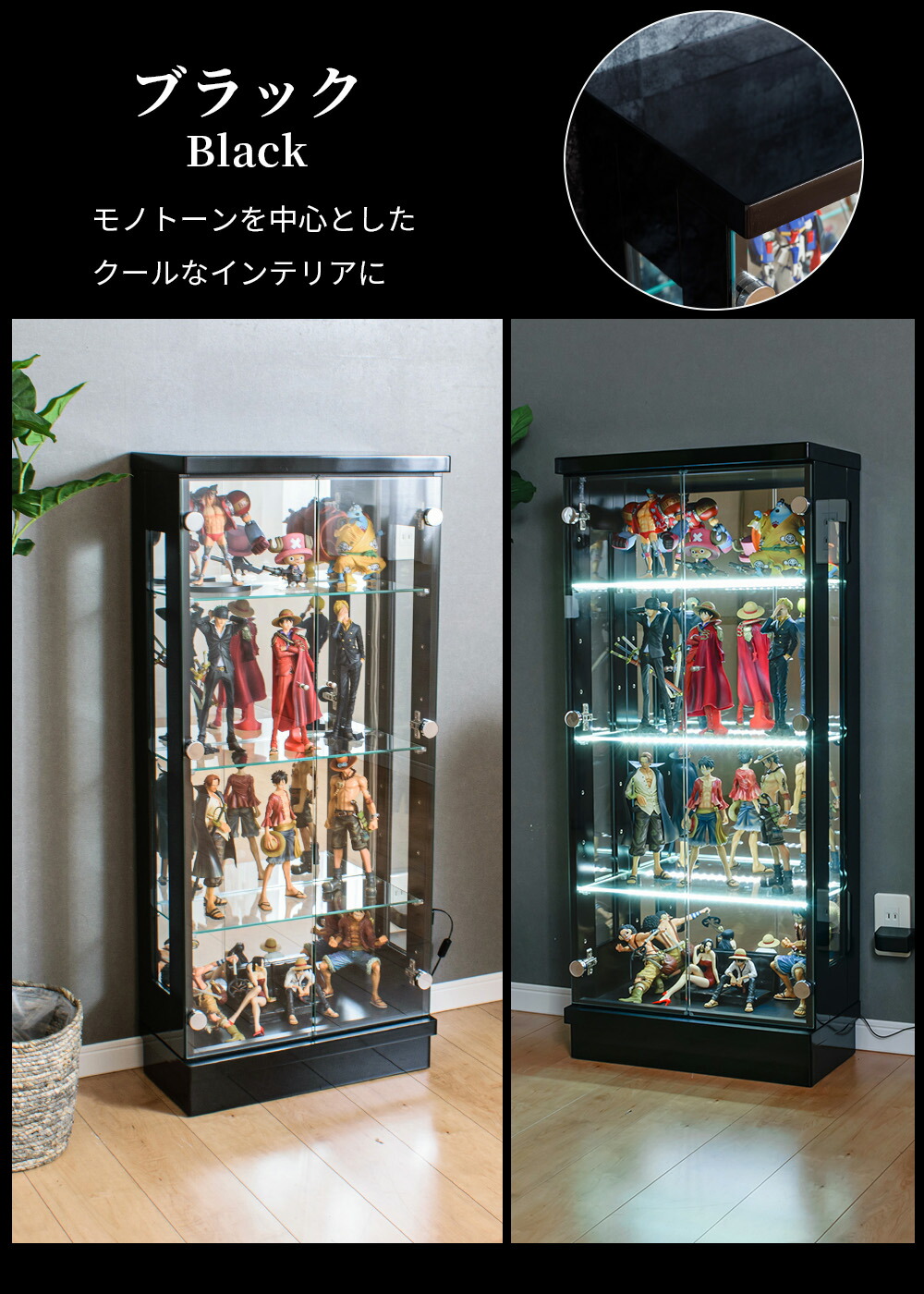 楽天市場】【ポイントアップ中！〜2/23(月)23:59】 コレクションケース