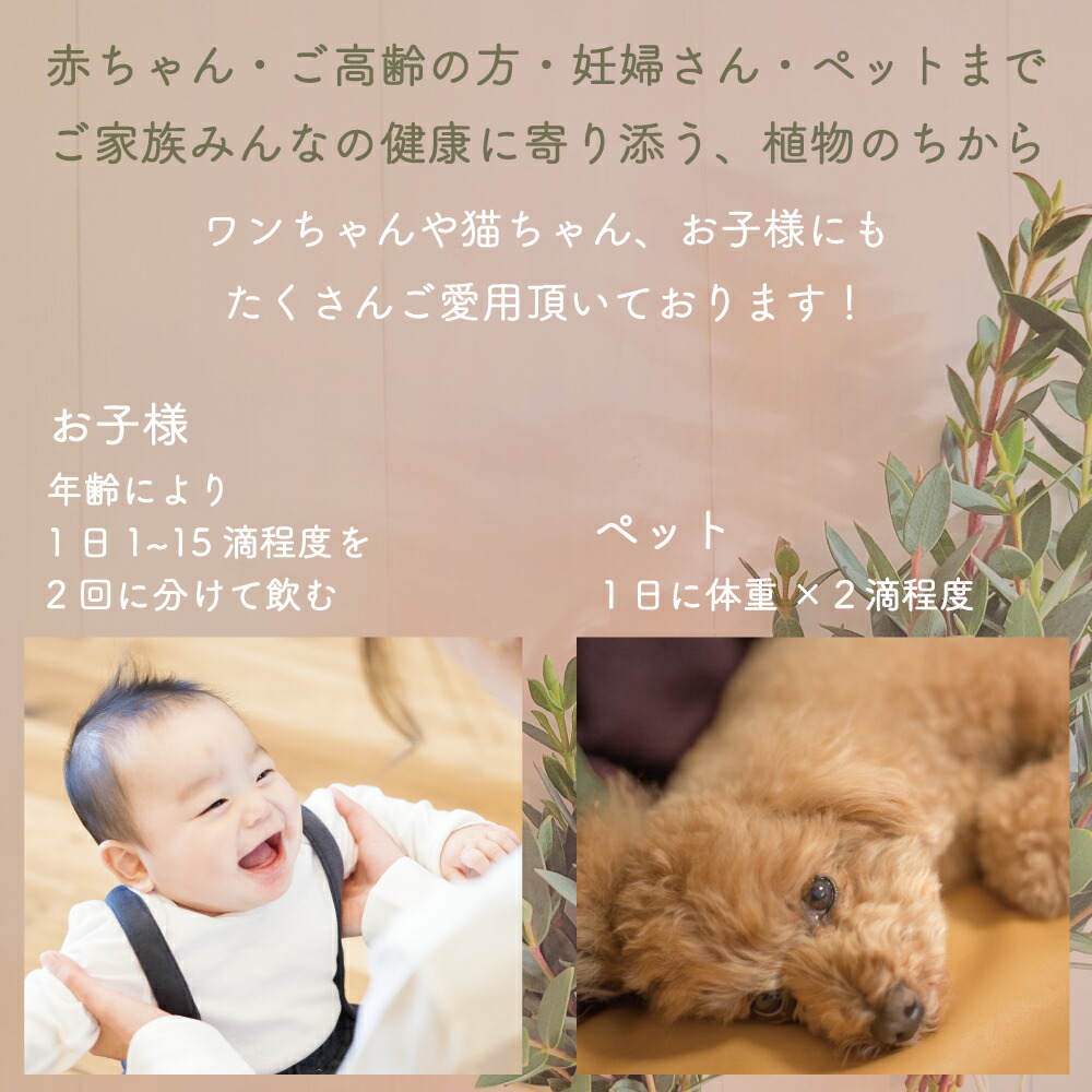 楽天市場】ジェモセラピー クルミ おなか バランス 腸活 無添加 無農薬