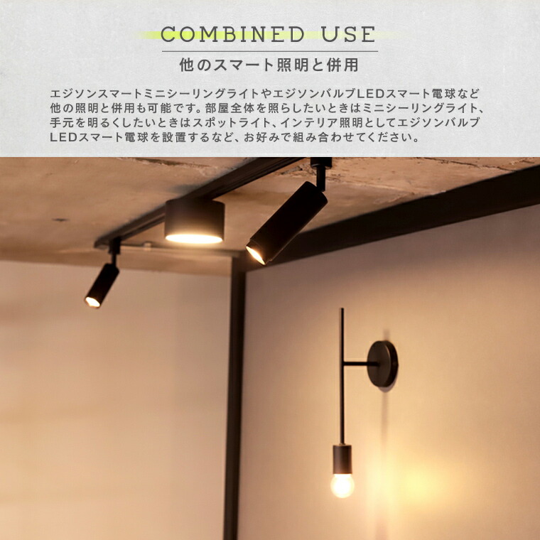 楽天市場】2個セット ダクトレール ライト エジソンスマート ミニ