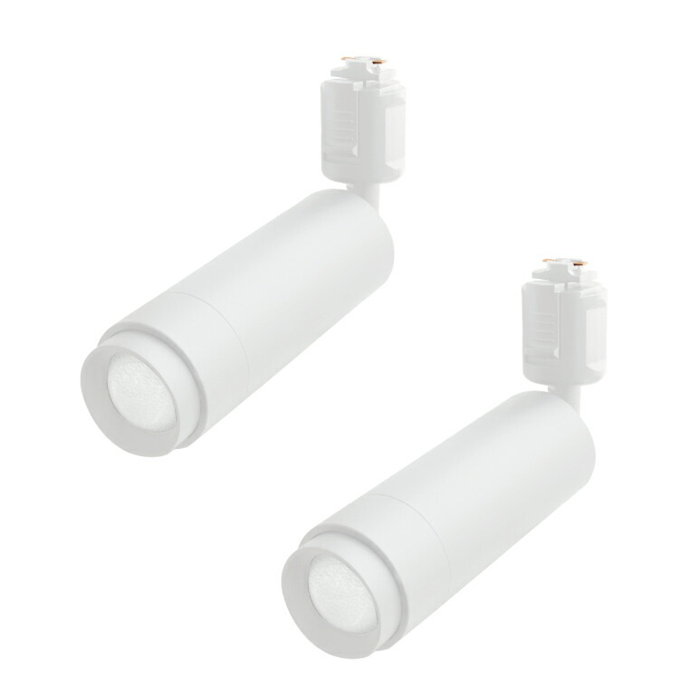 楽天市場】2個セット ダクトレール ライト エジソンスマート ミニ