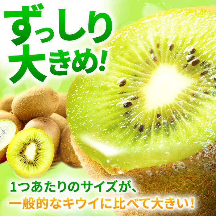 楽天市場】【ふるさと納税】【☆先行予約☆ 2026年11月上旬より発送