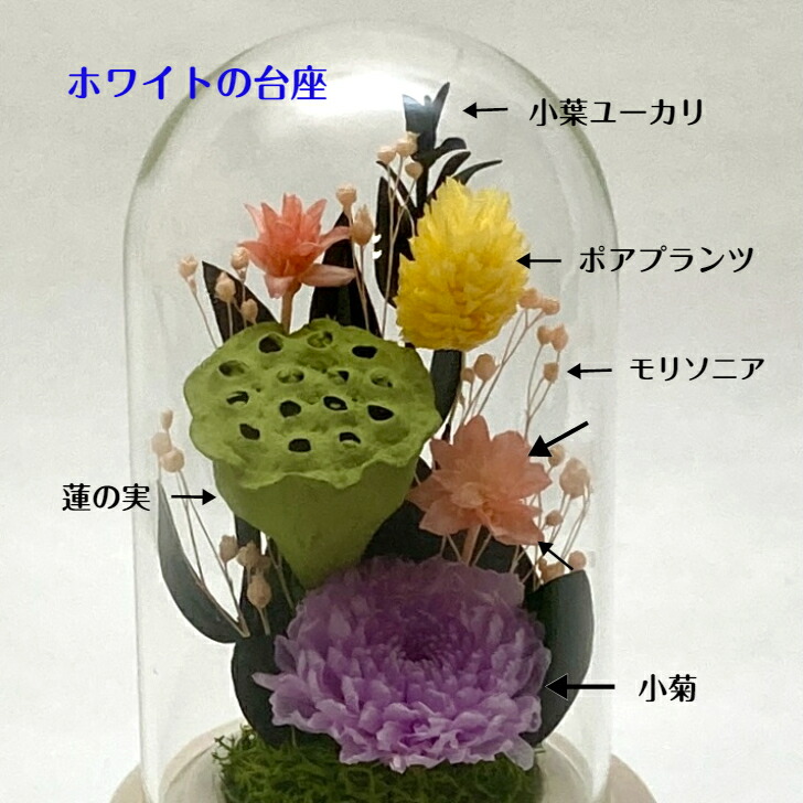 楽天市場】【プリザーブドフラワー仏花 蓮の実入り】 ミニミニ ガラス