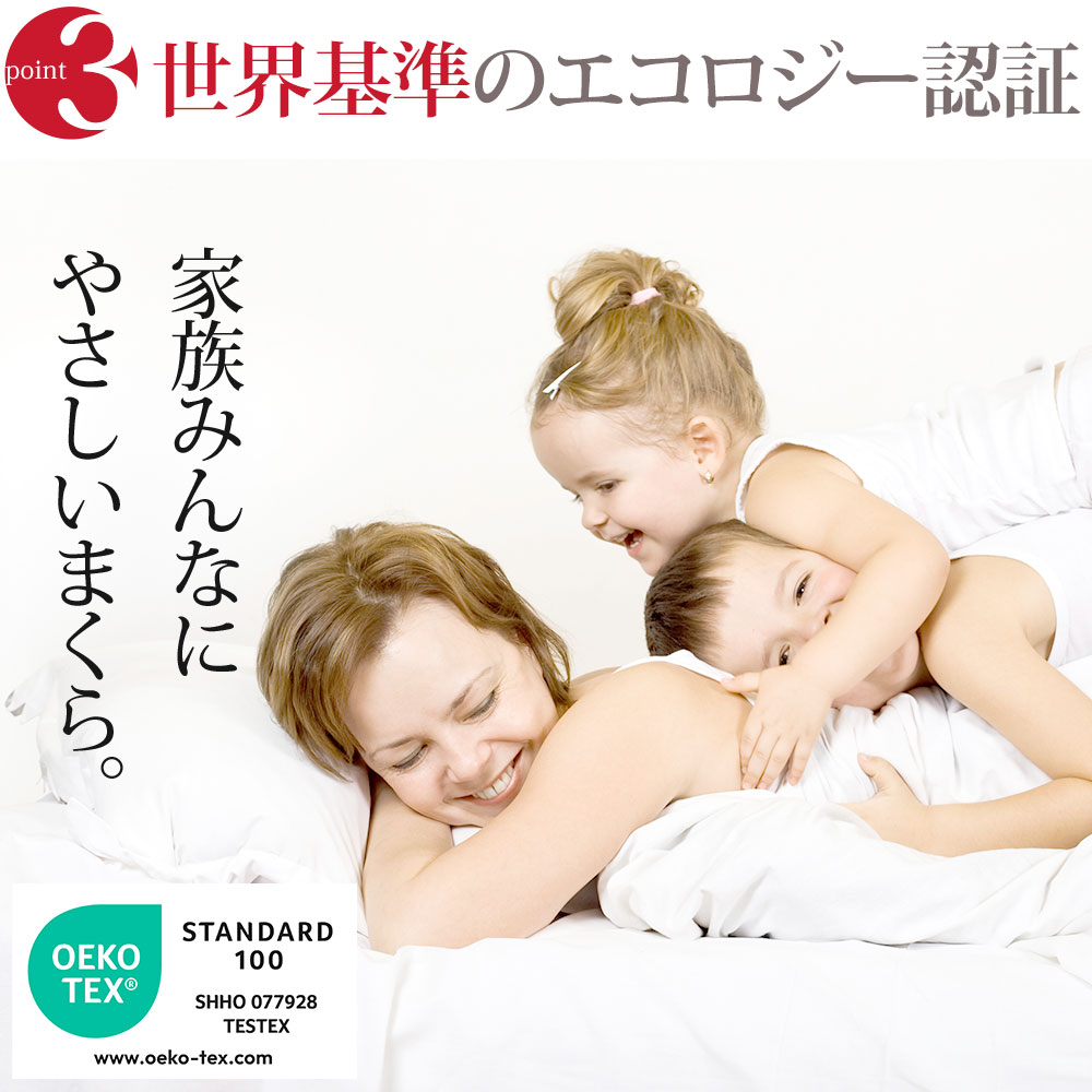 楽天市場】ダンフィル フィベール クッションピロー 80×80cm 枕