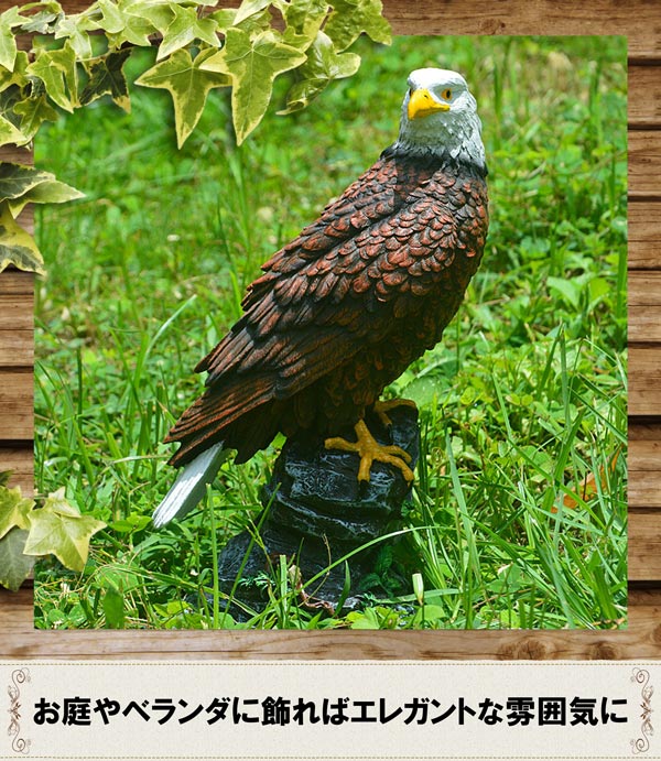 楽天市場】送料無料 鷲の置物 イーグル ワシ 模型 インテリア 鳥 自然