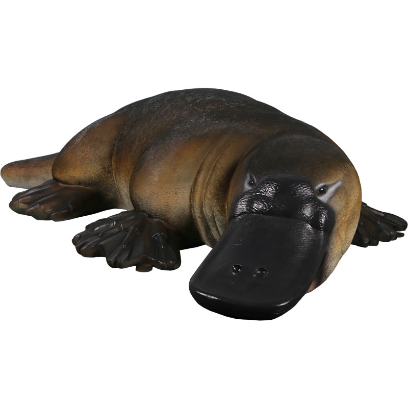 楽天市場】FRPアニマルオブジェ 大きなカモノハシ置物 動物 かものはし