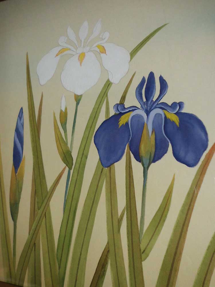 楽天市場】飯島香仙 菖蒲 日本画 肉筆 絵画 色紙 : 古都-京都 掛け軸