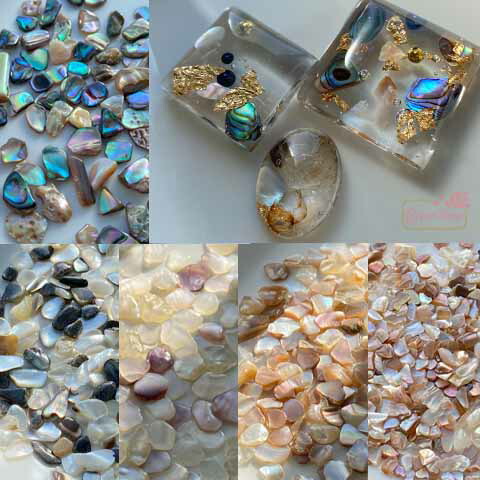 楽天市場】シェル 貝 欠片 かけら あわび 貝殻 天然素材 封入 ケース