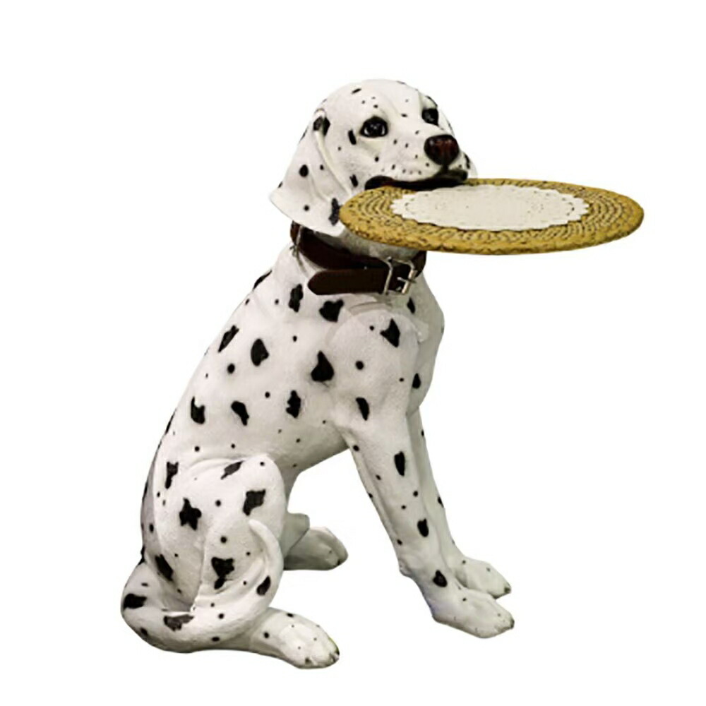 楽天市場】スーパーセール10％OFF 9/11終了 【楽天1位6冠達成】【人気