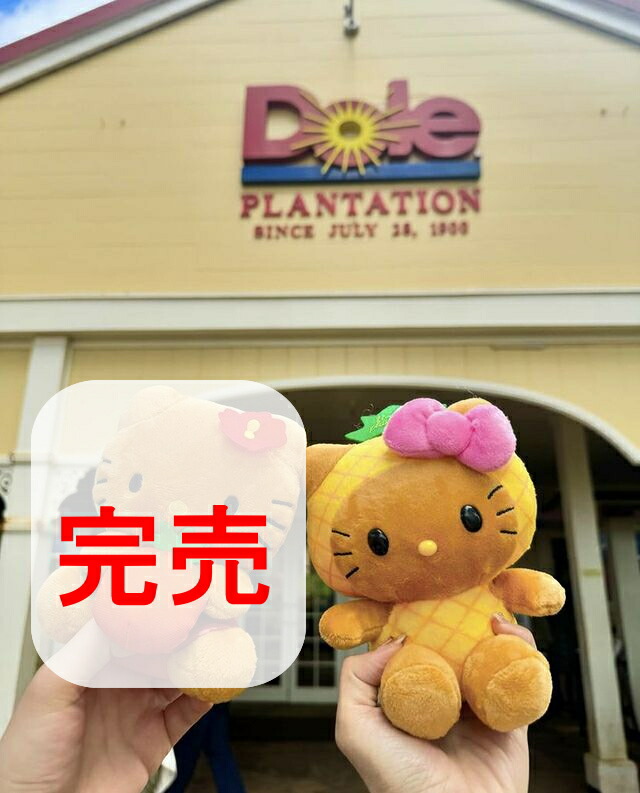 楽天市場】2月25日（水）☆発送可能☆希少限定商品【早いもの勝ち