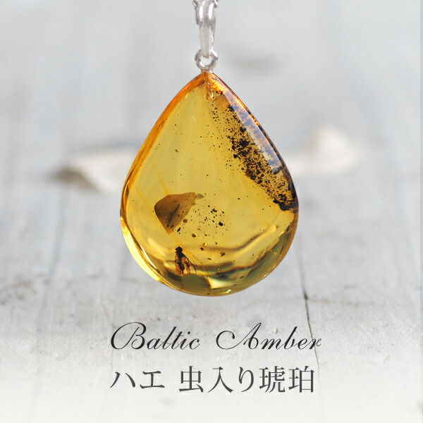 楽天市場】【バルト海の琥珀】 ギフト 【musi332】虫入り琥珀