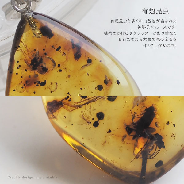 楽天市場】【バルト海の琥珀】ペンダントトップ 虫入り琥珀 こはく