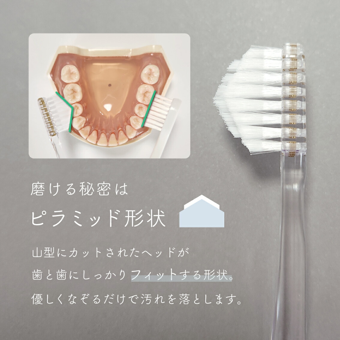 楽天市場】公式 奇跡の歯ブラシ〈トライアングルハンドル〉 お試し1本