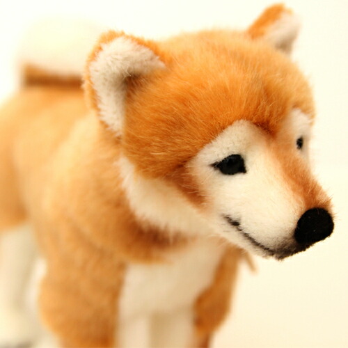 楽天市場】柴犬 【ドイツ・ケーセン社】 : AND CHILD