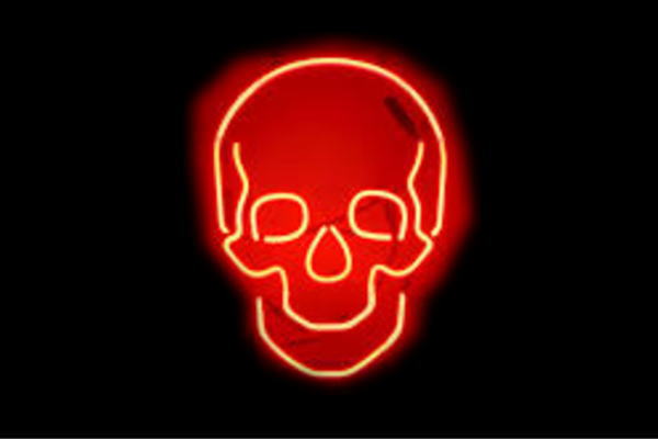 楽天市場】ネオン ドクロどくろ 髑髏 骸骨 スカル スケルトン 骨 バー