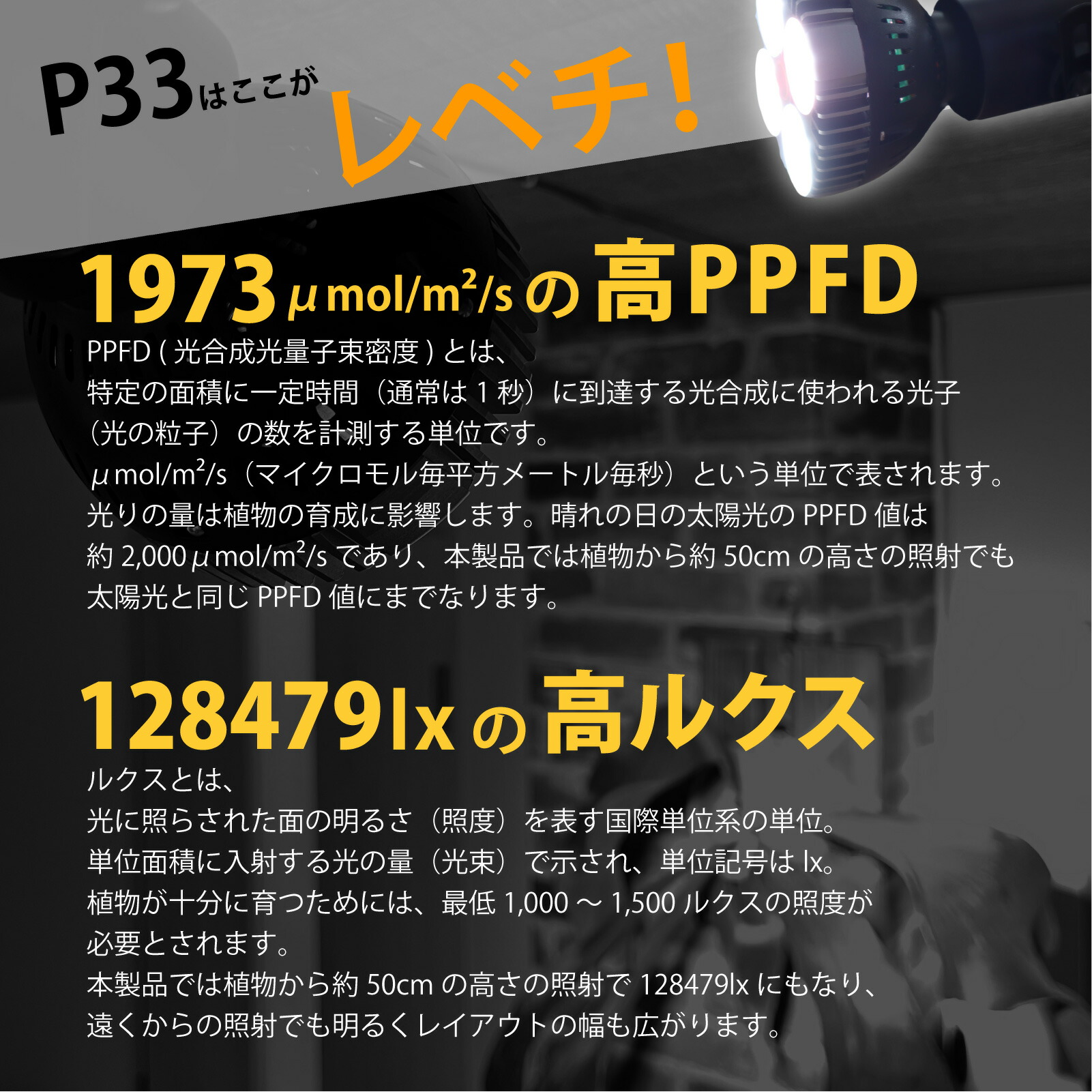 楽天市場】LEDSTAR P33 LEDライト 植物育成ライト 高PPFD 植物用