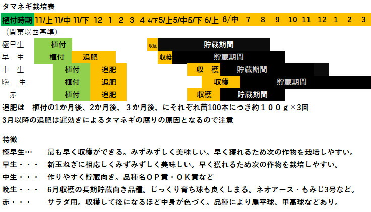 楽天市場】玉ねぎ苗 中生種 50本 品種名O・P黄、O・K黄、ターボなど