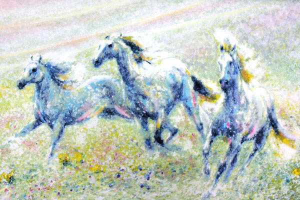 楽天市場】【マラソン限定クーポン】フー チー チュン「カリフォルニア