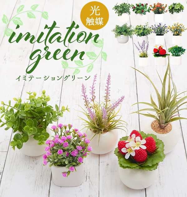 光触媒 人工観葉植物 ウォールグリーン フェイクグリーン タイワン