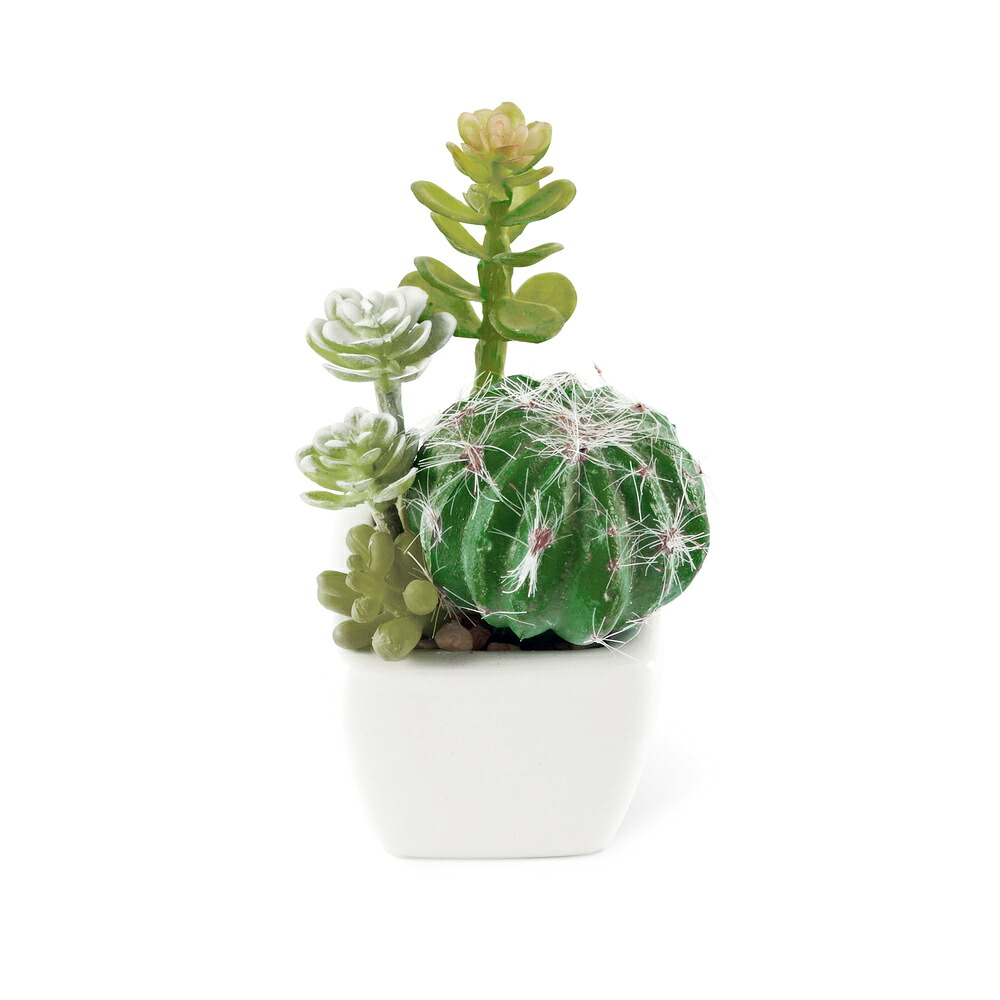 00018457_02.jpg?fitin=720:720