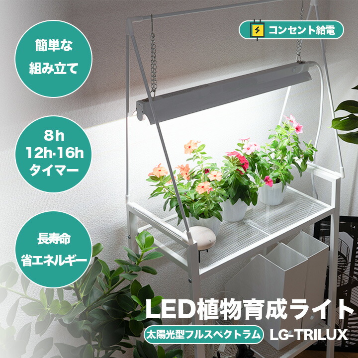 楽天市場】LED植物育成ライト 卓上育成ライト 卓上 植物育成 室内植物