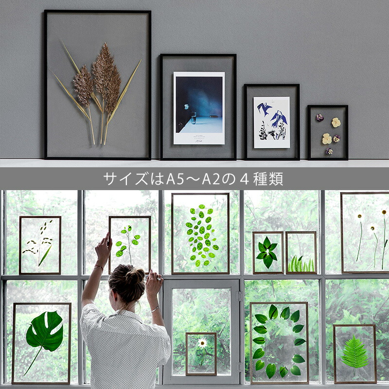 楽天市場】MOEBE ムーベ フレーム FRAME 額縁 壁掛け サイズ：A5 / A4