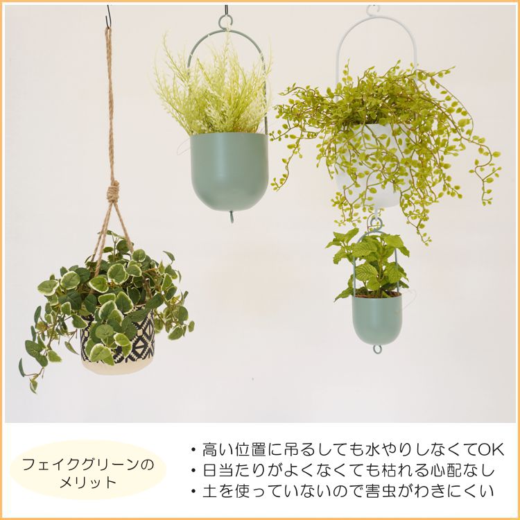 楽天市場】ハンギング グリーン D プミラ (造花 フェイクグリーン 吊り
