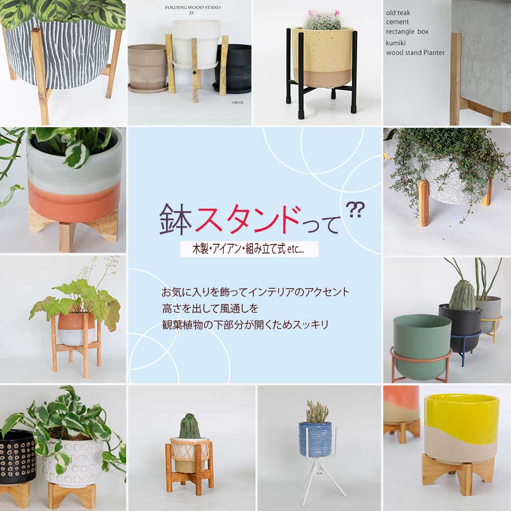 楽天市場 | ガーデニング日和 - ガーデンライフが楽しくなるような雑貨